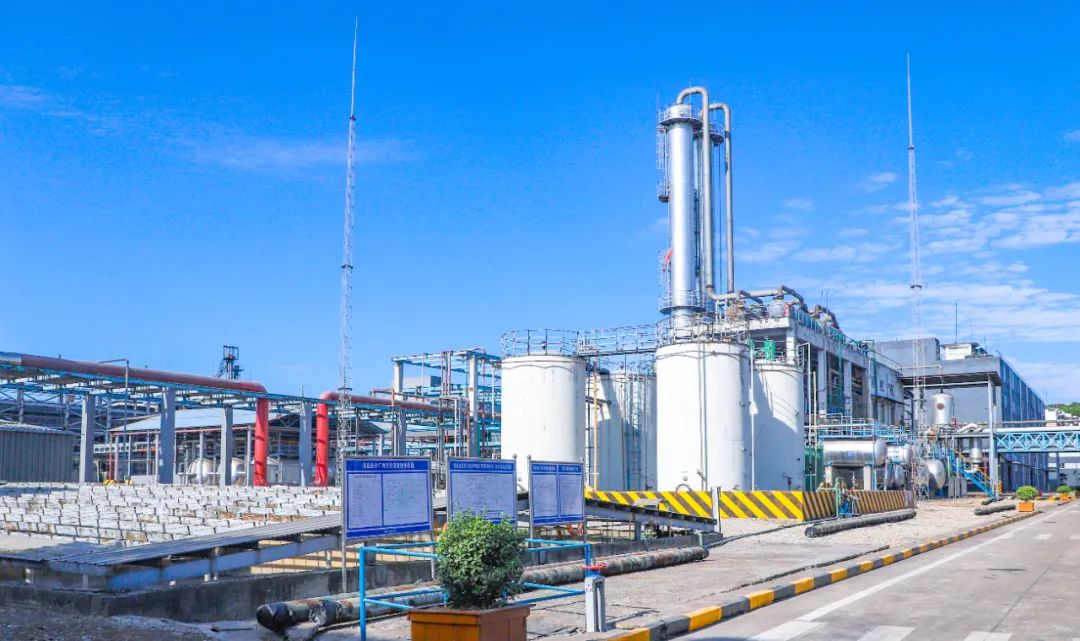 股份公司：上好“開年廉政第一課”，勁吹清風啟新篇(圖3)