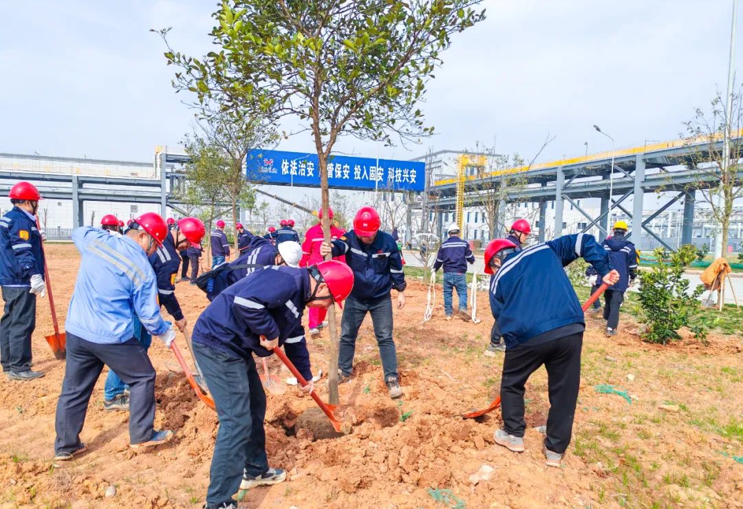 “植”此青綠共“樹”未來！集團(tuán)各公司開展植樹活動(dòng)(圖8)