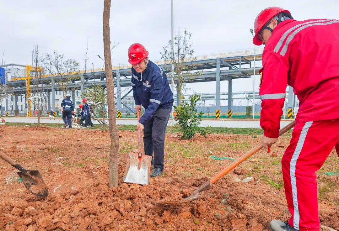 “植”此青綠共“樹”未來！集團(tuán)各公司開展植樹活動(dòng)(圖11)