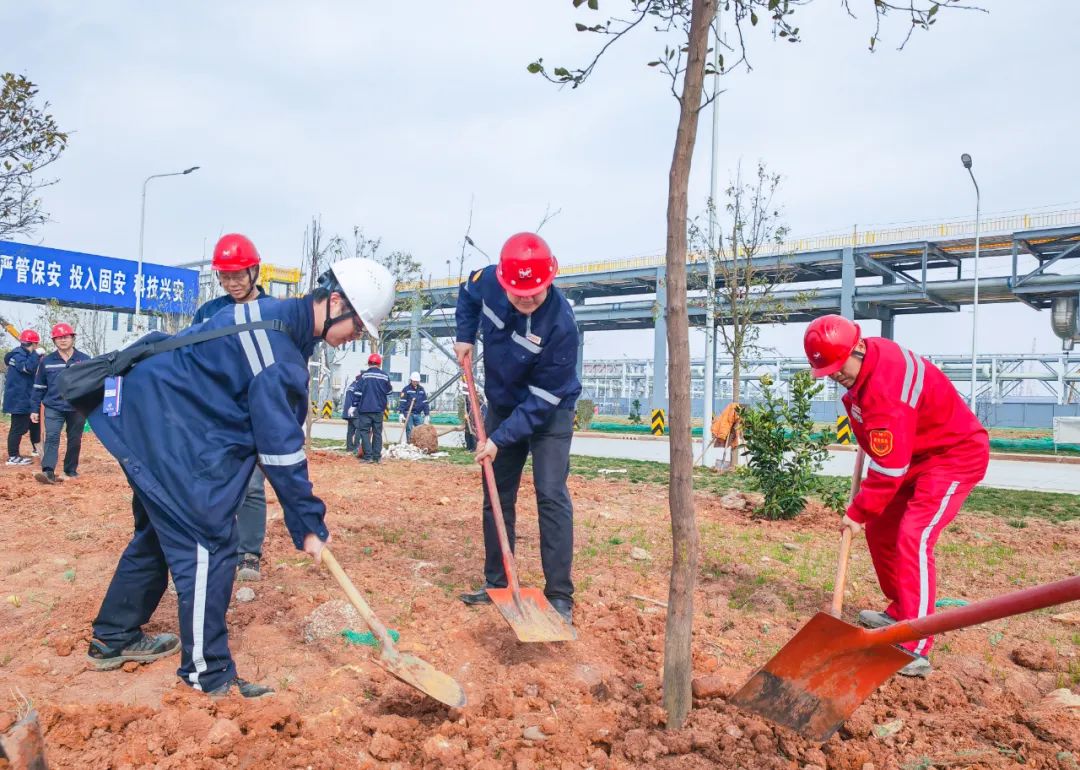 “植”此青綠共“樹”未來！集團(tuán)各公司開展植樹活動(dòng)(圖10)
