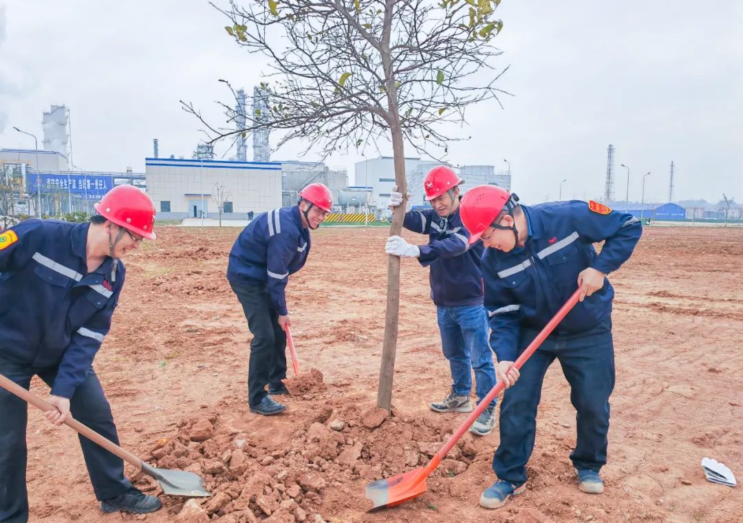 “植”此青綠共“樹”未來！集團(tuán)各公司開展植樹活動(dòng)(圖9)