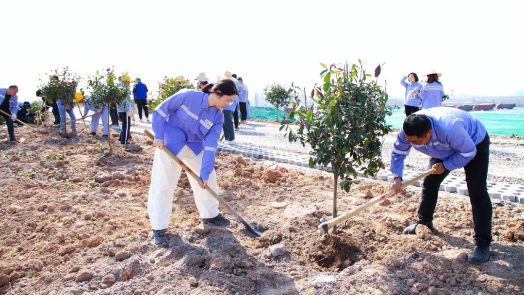 “植”此青綠共“樹”未來！集團(tuán)各公司開展植樹活動(dòng)(圖16)