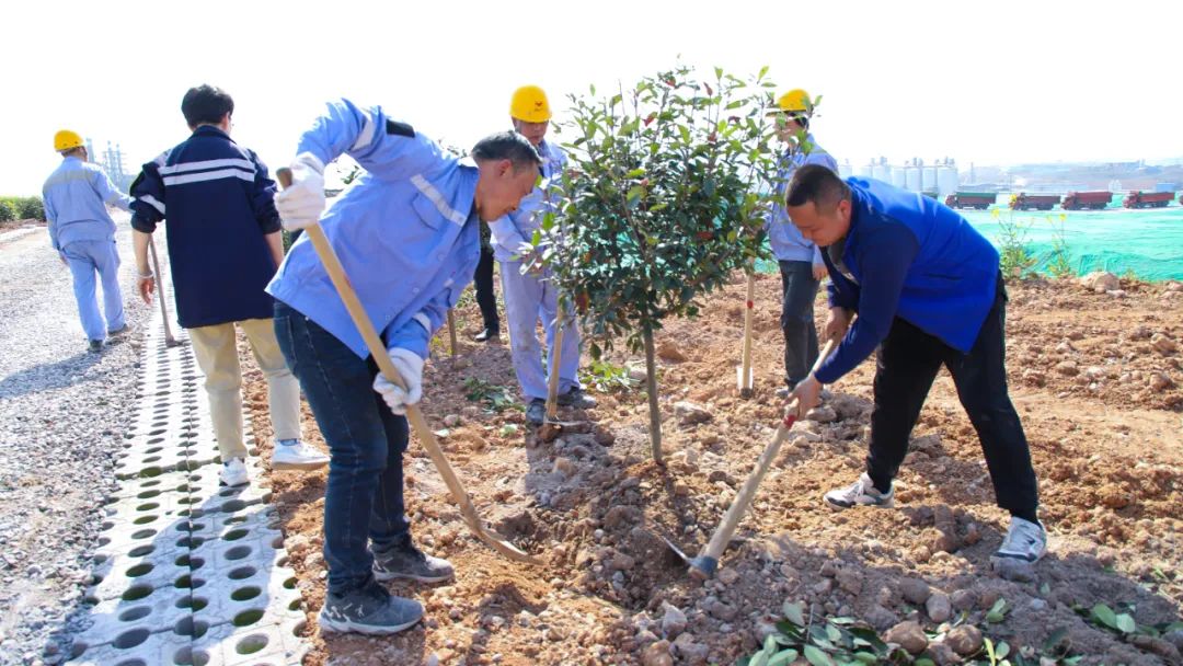 “植”此青綠共“樹”未來！集團(tuán)各公司開展植樹活動(dòng)(圖14)