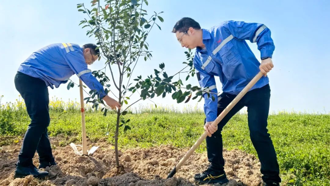 “植”此青綠共“樹”未來！集團(tuán)各公司開展植樹活動(dòng)(圖15)