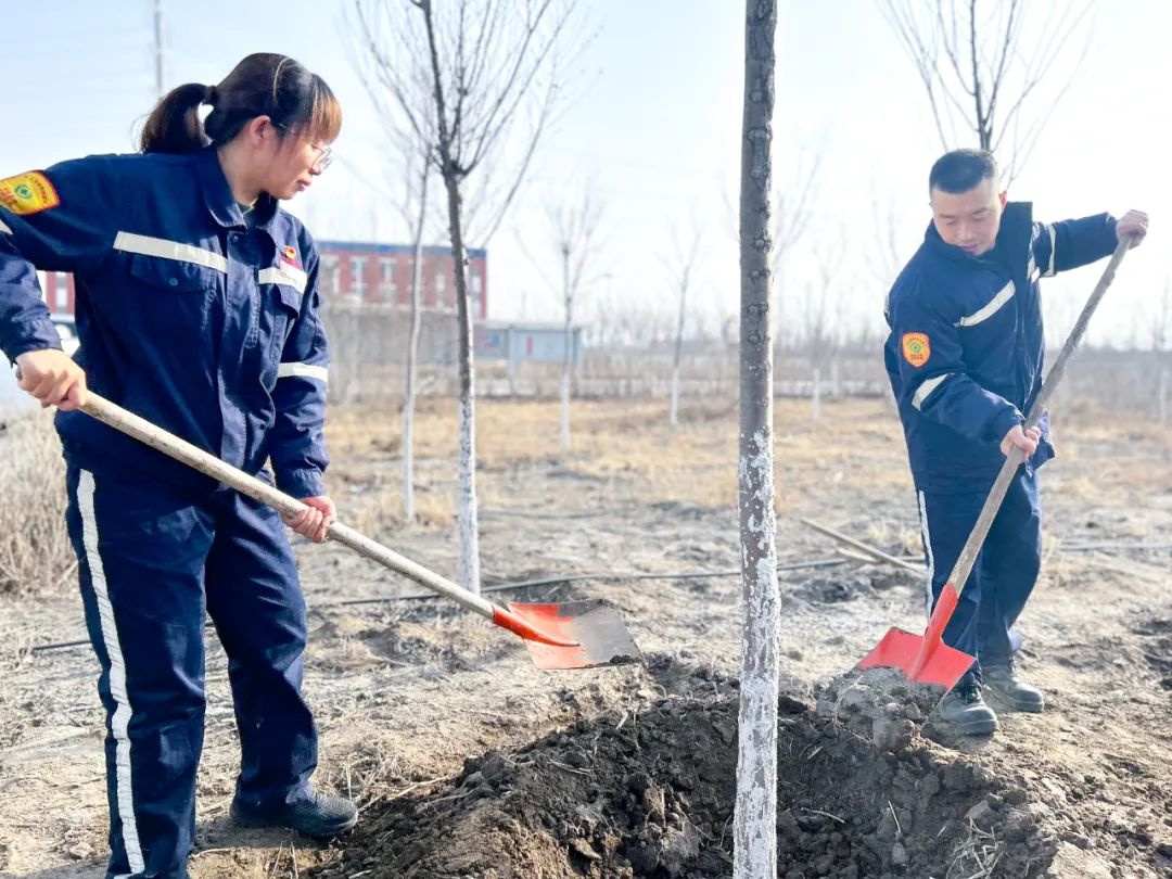 “植”此青綠共“樹”未來！集團(tuán)各公司開展植樹活動(dòng)(圖21)
