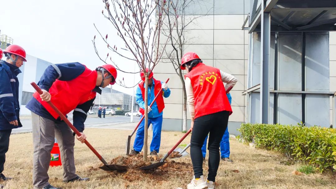 “植”此青綠共“樹”未來！集團(tuán)各公司開展植樹活動(dòng)(圖24)