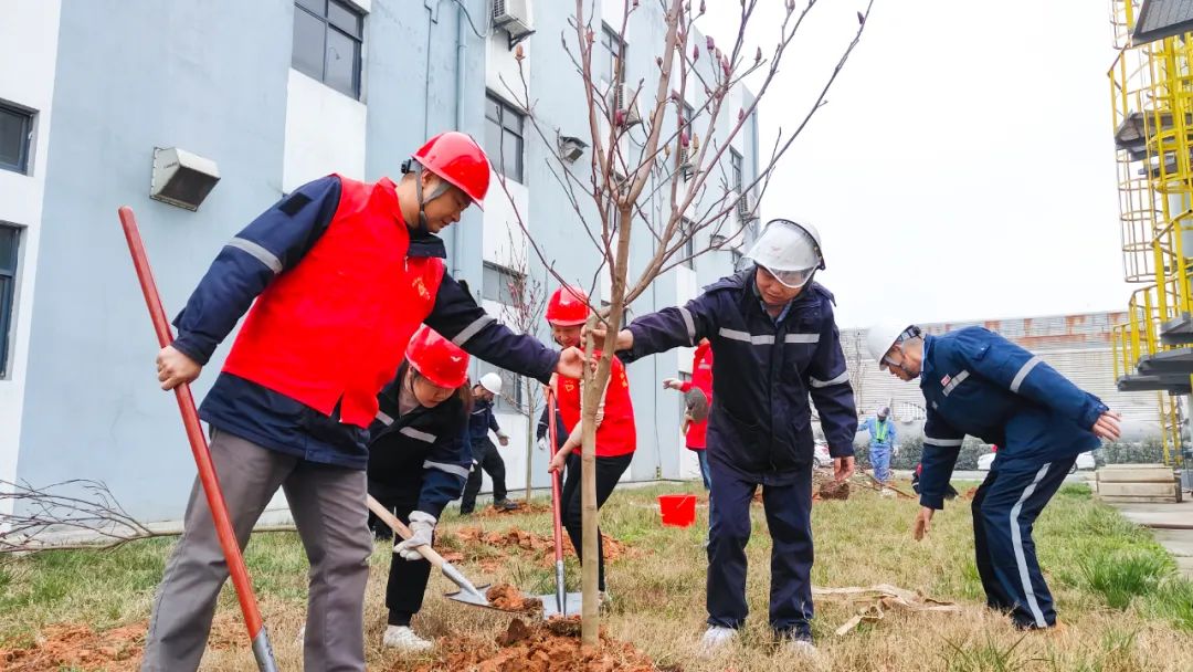 “植”此青綠共“樹”未來！集團(tuán)各公司開展植樹活動(dòng)(圖26)