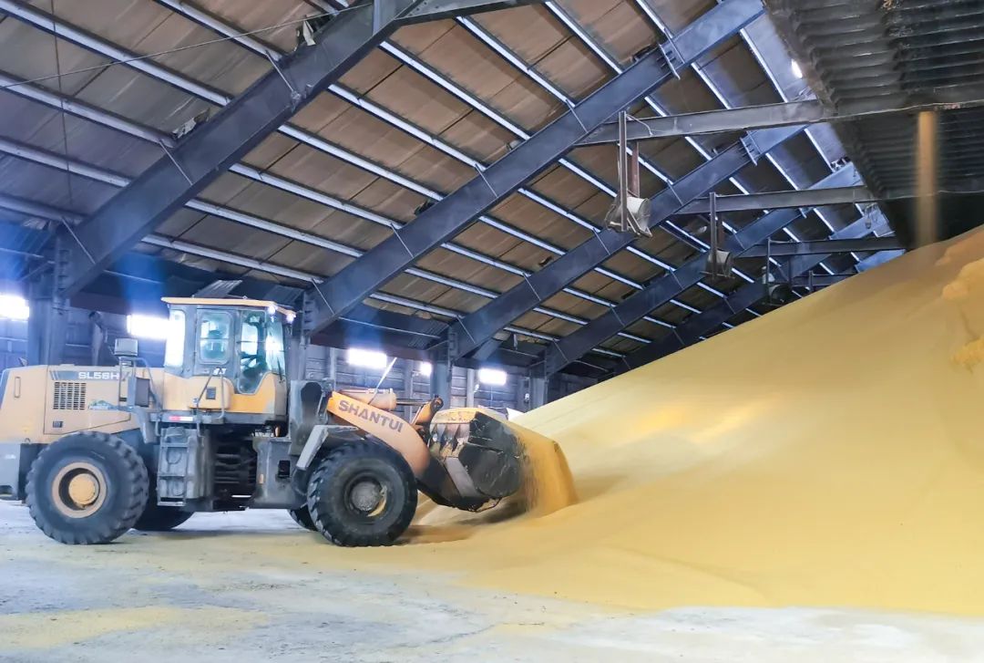 股份公司磷銨分廠:優(yōu)化生產(chǎn)提質(zhì)量,深挖潛力創(chuàng)效益(圖3) 股份公司磷銨分廠:優(yōu)化生產(chǎn)提質(zhì)量,深挖潛力創(chuàng)效益(圖3)