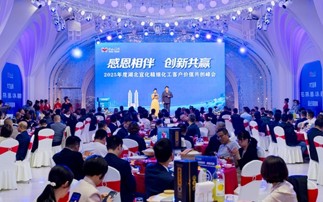 感恩相伴創新共贏！湖北宜化舉辦精細化工客戶價值共創峰會