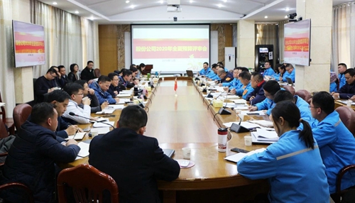 王大真調研指導股份公司、化機公司和TMP新項目2020年財務預算工作