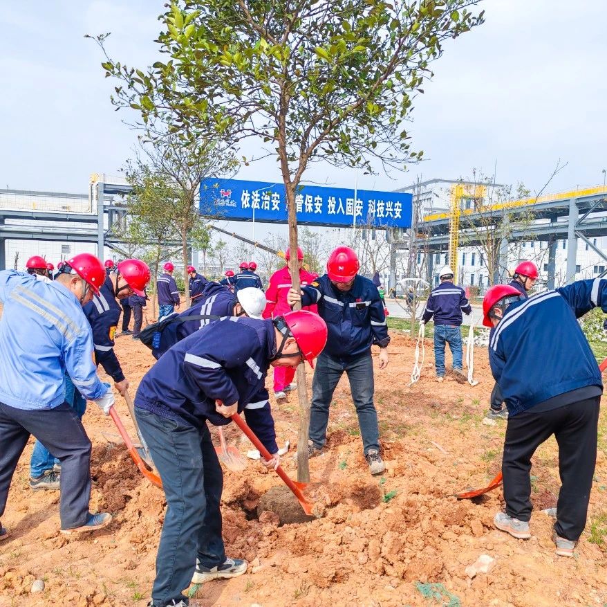 “植”此青綠共“樹”未來！集團各公司開展植樹活動